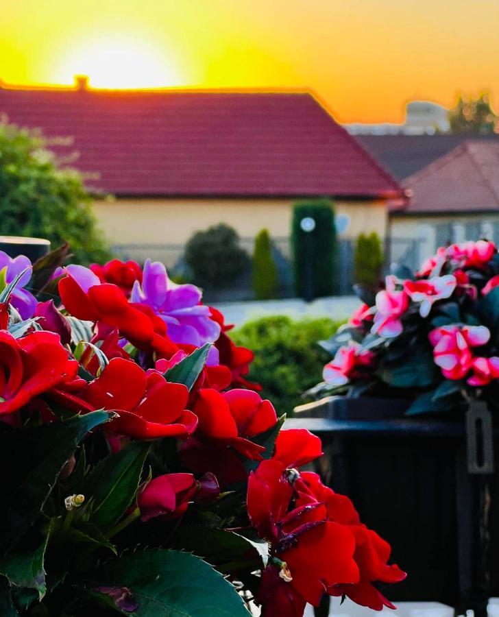 Tomis Pensiune Băile Felix Buitenkant foto